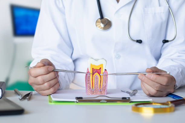 Best Weekend Emergency Dentist in Vancleave, MS
